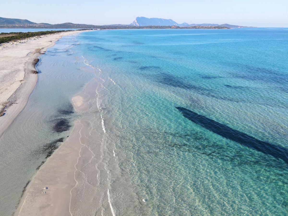 Iss Travel, Villa Fiorita - 800 M From La Cinta Beach San Teodoro  Exterior foto